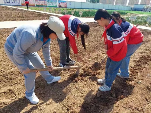 1683693851618784.jpg 劳动10.jpg