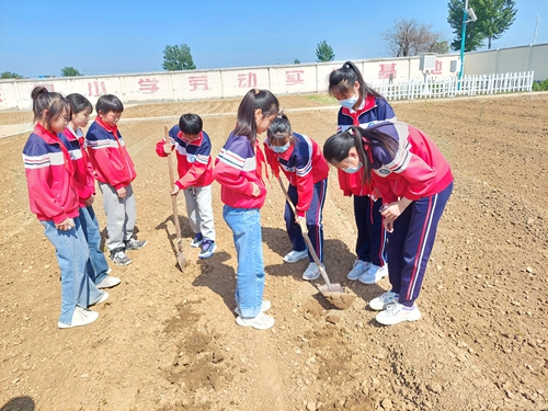 1683693869468462.jpg 劳动2.jpg