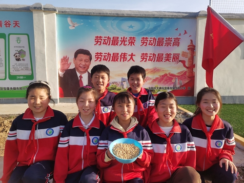 1683712664473358.jpg 2.jpg