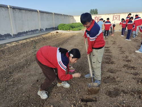 1683712682638368.jpg 3 - 副本.jpg