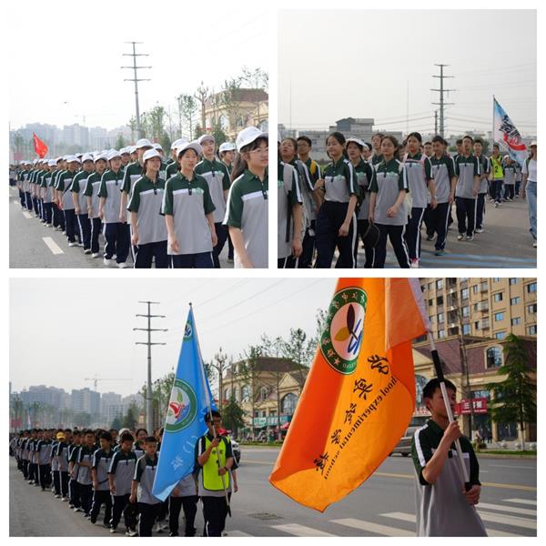 1684239176179398.jpg 222222222222.jpg