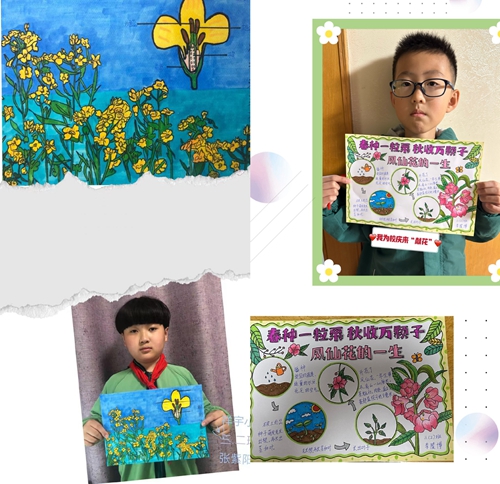 1684315565738293.jpg 图片2.jpg