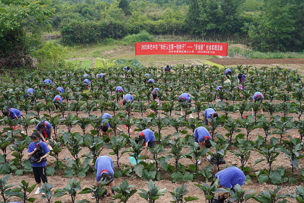 1684332662207223.png 图片1.png