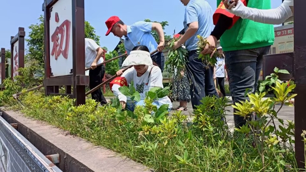 1684419837276562.jpg __8L366V{ZVRH61RUX2BNKY除草.jpg