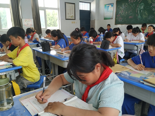 1684496822527318.jpg 5c0cf50dae2ef4edcdcd8fda4d3fcd8.jpg