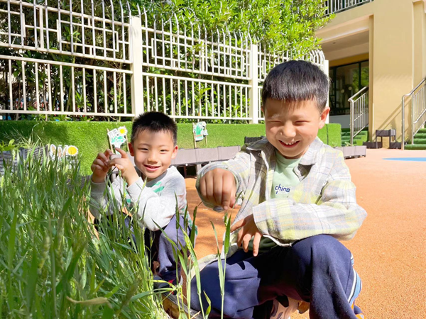 1684721628835572.png 图片1.png