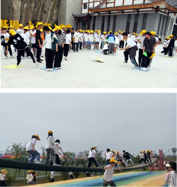 1684815987116108.png 1684815987116108.png