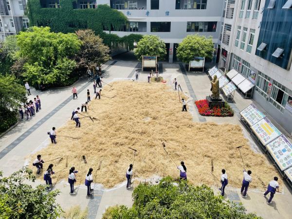 1684853417960349.jpg 打油菜2_proc.jpg