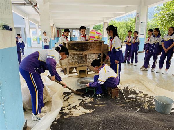 1684853450913748.jpg 扇油菜_proc.jpg