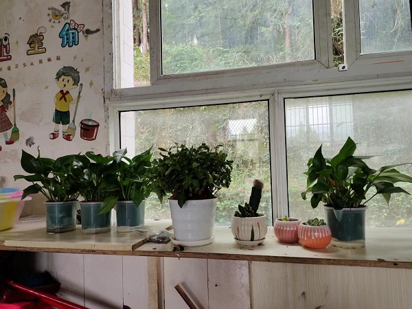 1684923204722276.jpg 1.jpg