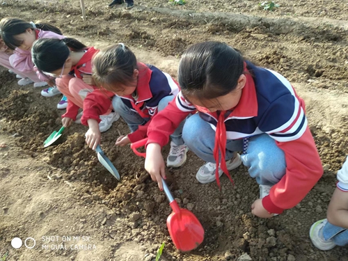 1685114796518369.jpg 8.jpg