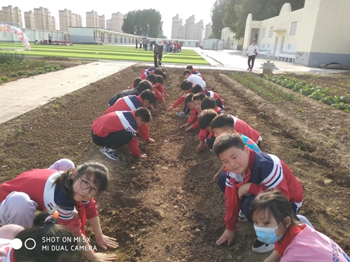 1685114804813202.jpg 10.jpg