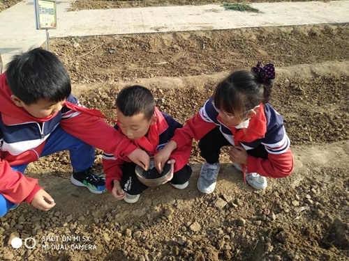 1685114811309821.jpg 12.jpg