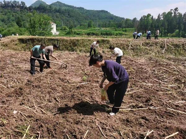 1685187415982461.jpg 微信图片_20230525153825_proc.jpg