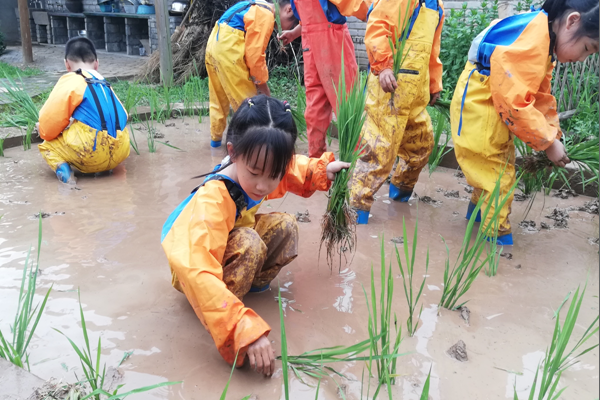 1685350498466077.png QQ图片20230529165353.png