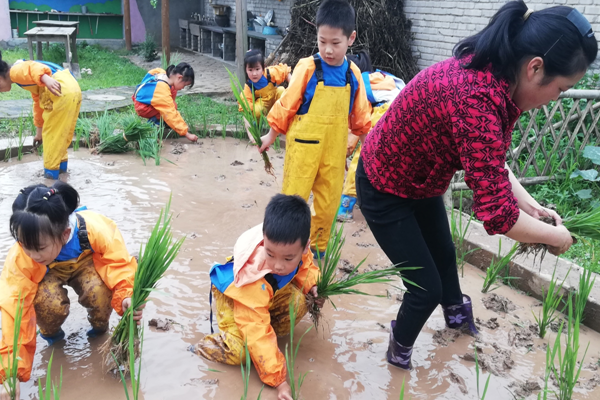 1685350509487872.png QQ图片20230529165322.png