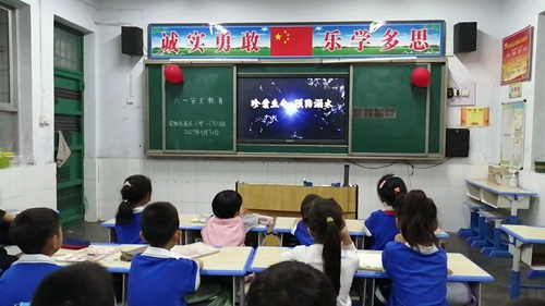 1685667916411531.jpg 2.jpg