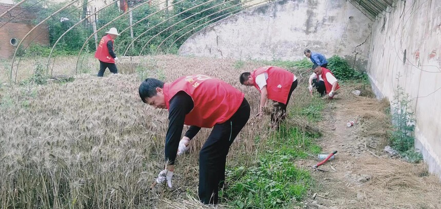 1685668505401704.jpg 477b352863dbf1f78d0645dfb486a03.jpg