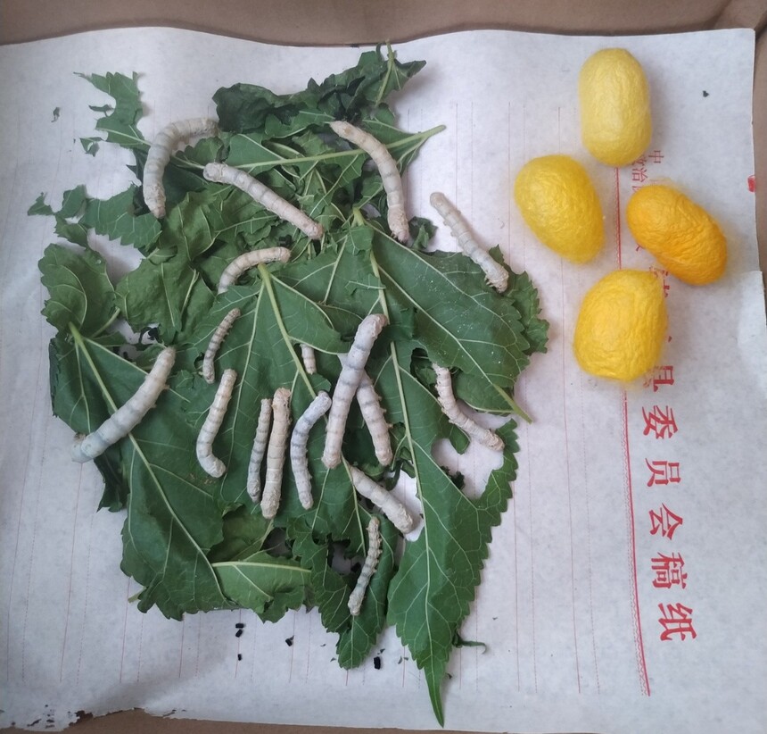 1685778849919029.jpg 微信图片_20230603155127.jpg