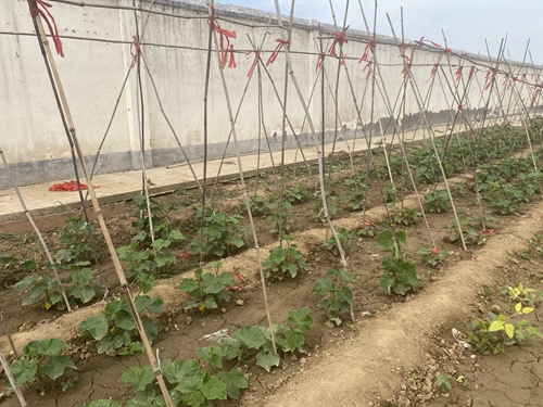 1685963099258474.jpg 图7.jpg