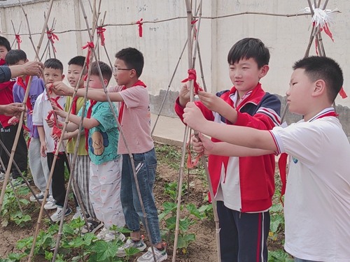 1685963107685837.jpg 图9.jpg