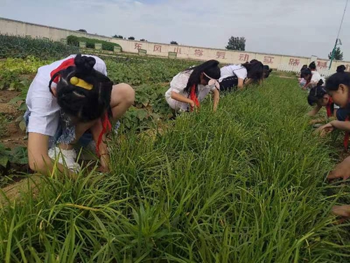 1685963247707261.jpg 微信图片_20230603213314.jpg