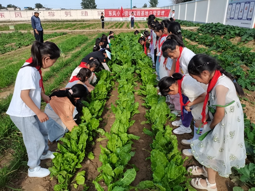 1685963529484993.jpg 微信图片_20230602233911.jpg