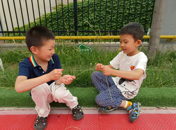 1686035571879968.png 图片1.png