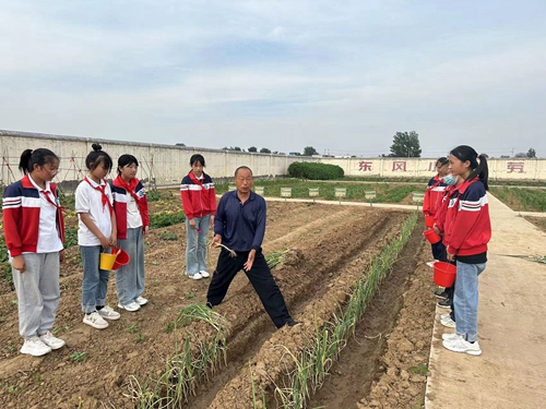 1686108813746898.jpg 1.jpg