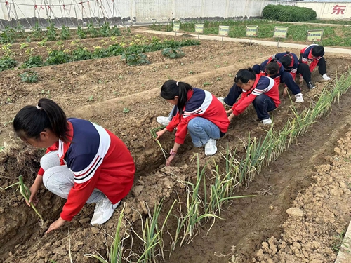 1686108899438874.jpg 4.jpg