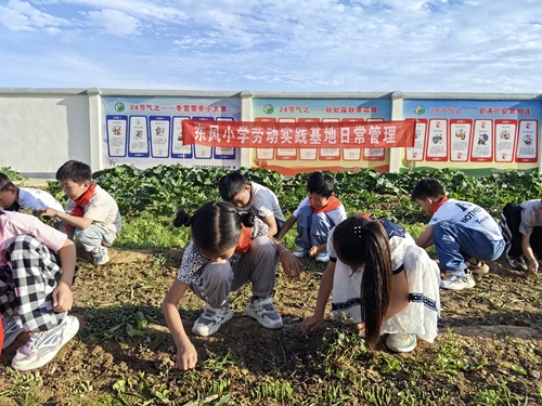 1686110163875051.jpg 1.jpg