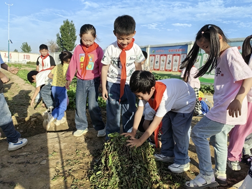 1686110177648113.jpg 2.jpg