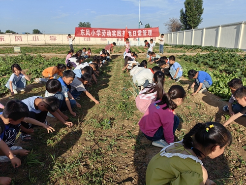 1686110196330101.jpg 3.jpg