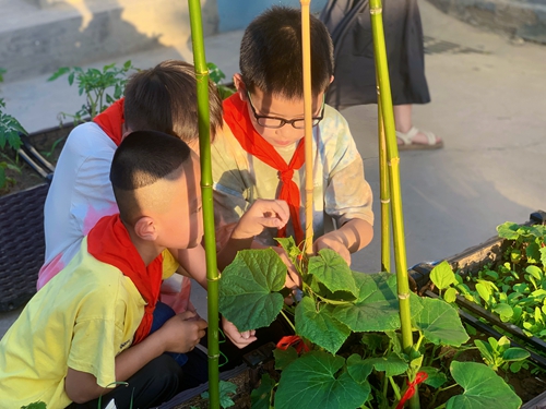 1686276300484724.jpg 支架子.jpg