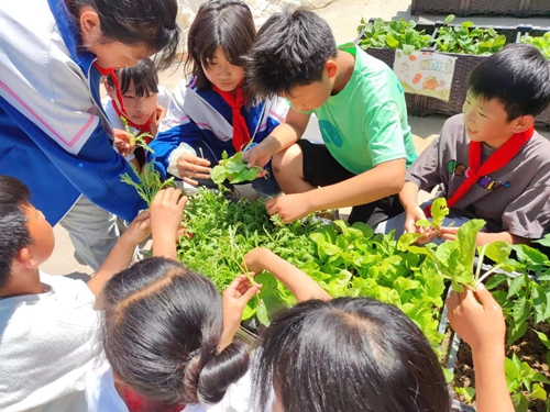 1686276334114843.jpg 423294294ed4fe3640c6b5155891e9d.jpg