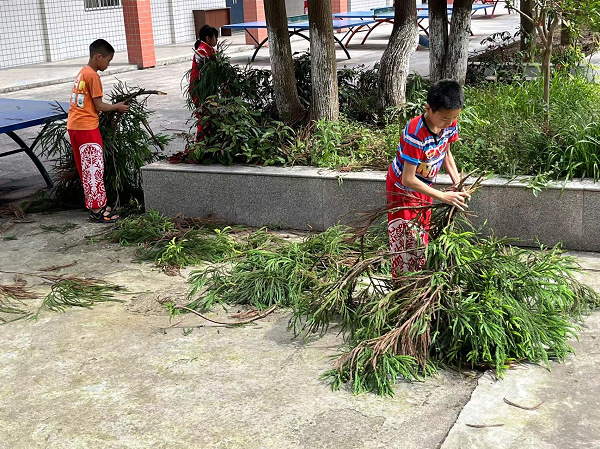 1686567399441610.png 图片1.png