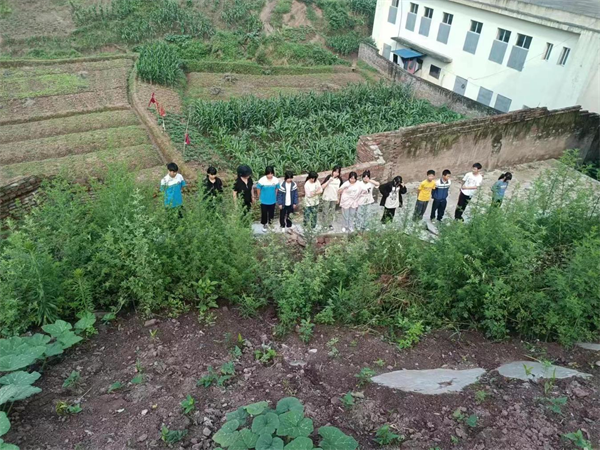 1686822338379305.png 图片3.png