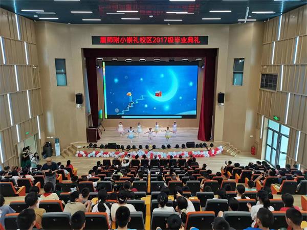 1687345139586838.jpg 2.jpg