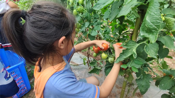 1687415271859202.png 图片1.png