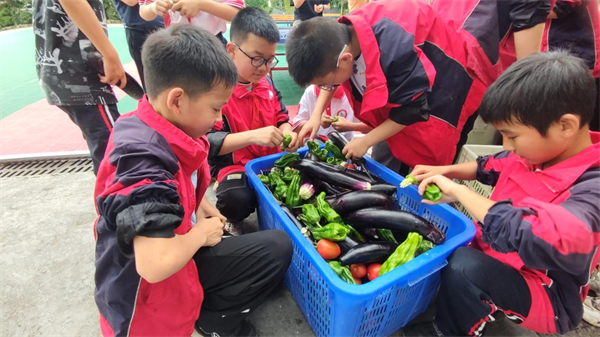 1687415280784824.png 图片2.png