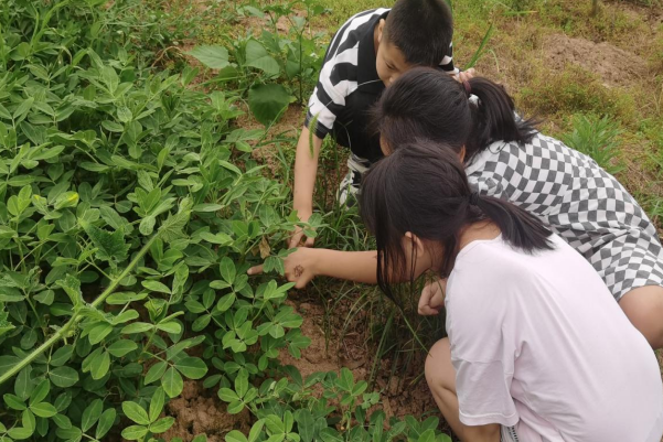 1687828854928259.png QQ图片20230627092012.png