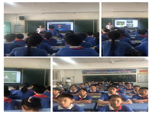 1688122759993231.png 图片6.png