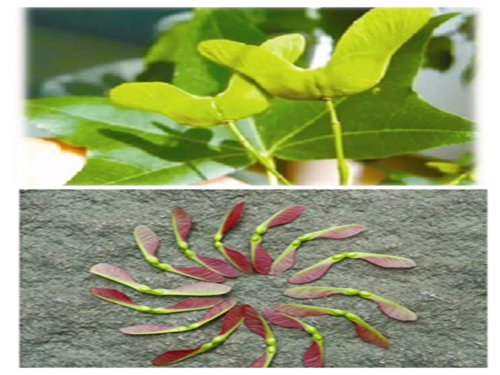 1688122777466959.png 图片7.png