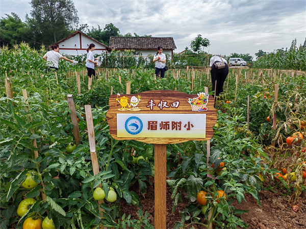 1688190301439755.png 图片4.png