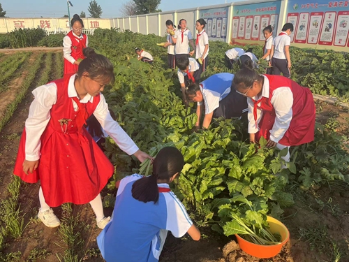 1688435748603179.jpg 微信图片_20230630152811.jpg