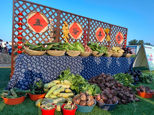 1688435765120925.jpg 最后.jpg