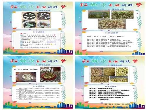 1693348598296758.jpg 图片18.jpg