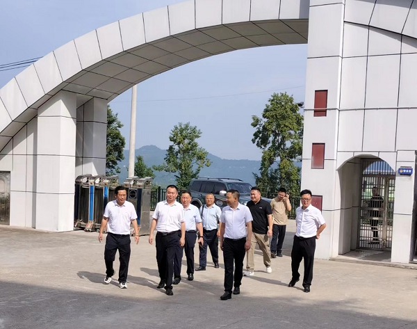 1693613801729525.png 图片1.png