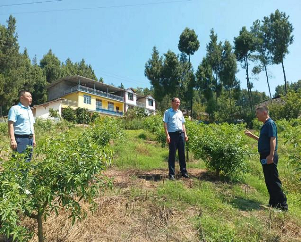 1693782149993232.png 图片1.png