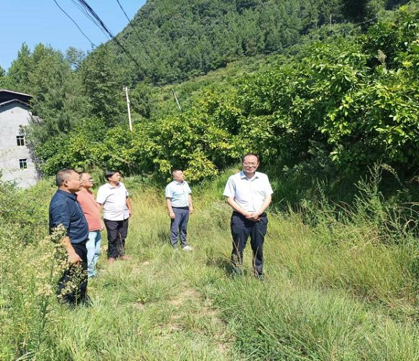 1693782180645600.png 图片2.png